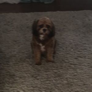 Meet your Posher, Natalie